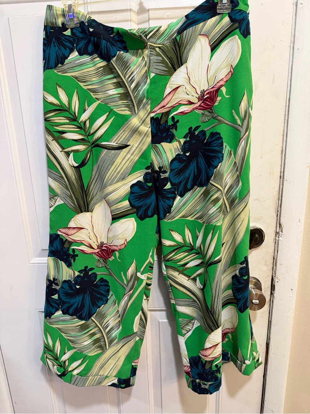 Ann Taylor Factory Green Tropical Print Pants